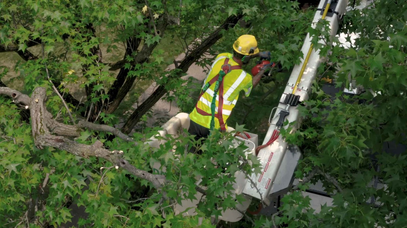 Professional tree trimming using bucket lift in Oak Lawn, IL
