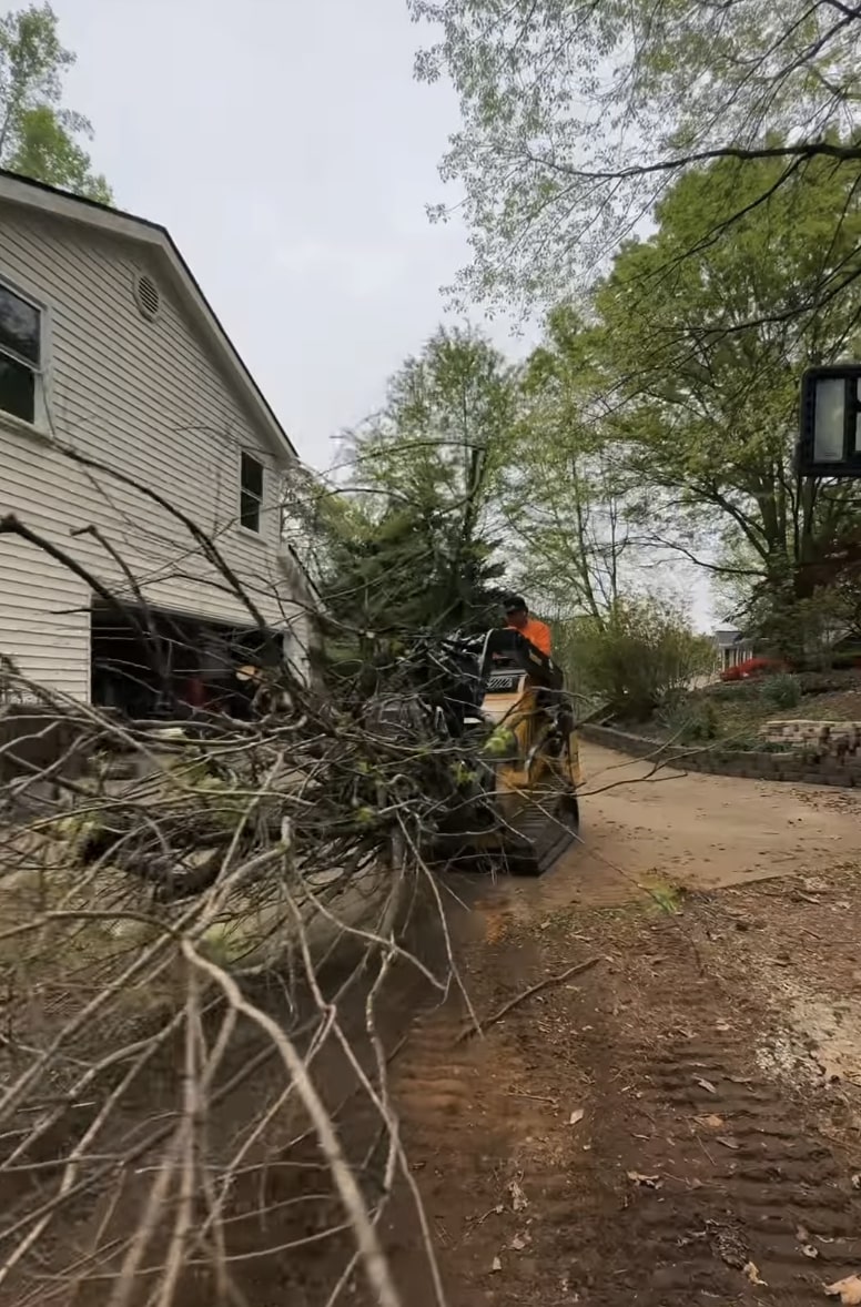 Professional tree removal service in Oak Lawn, IL showing emergency tree work