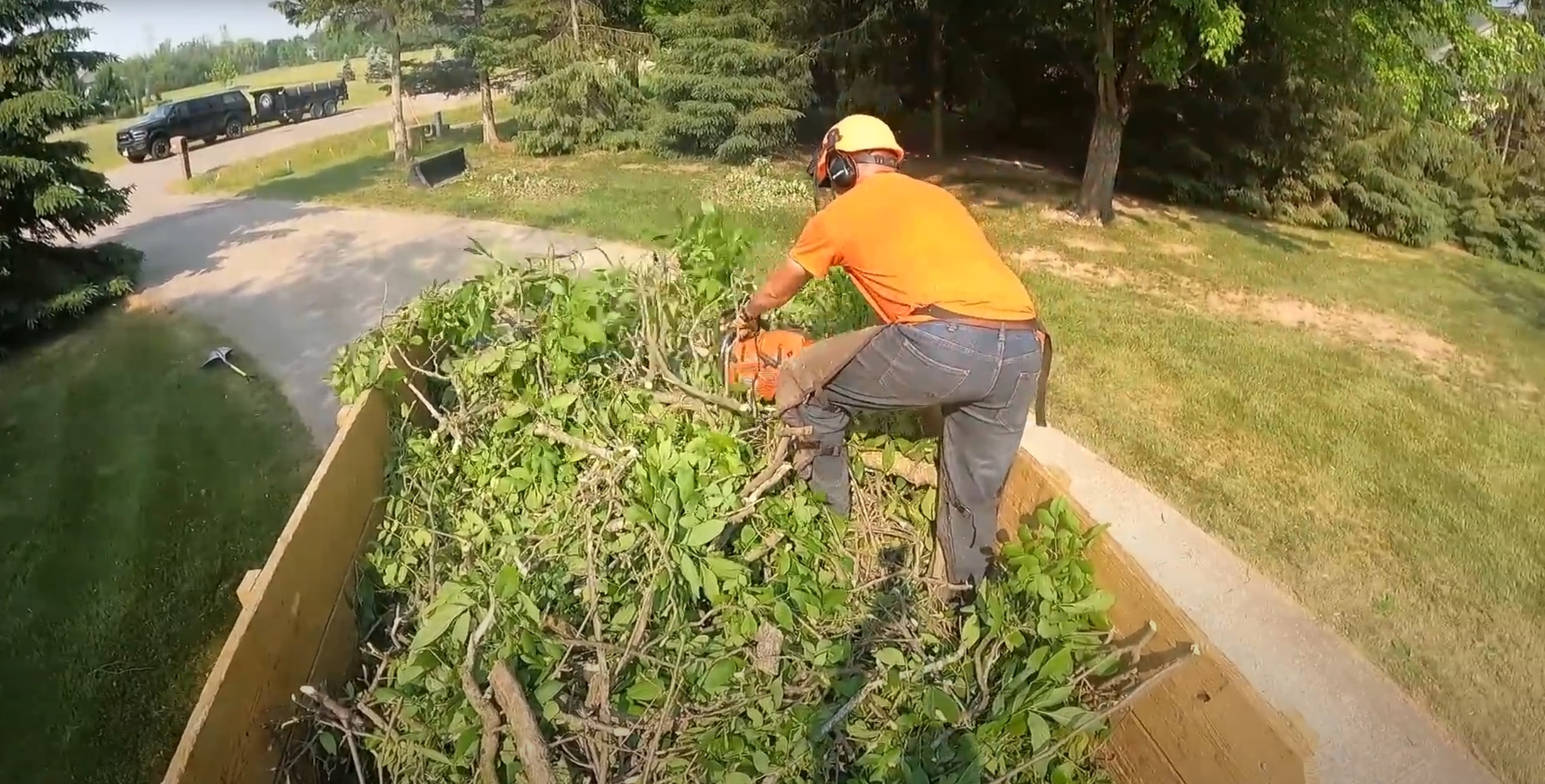 Land clearing and tree debris removal services in Oak Lawn, IL